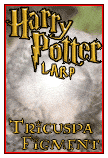 Harry Potter Live